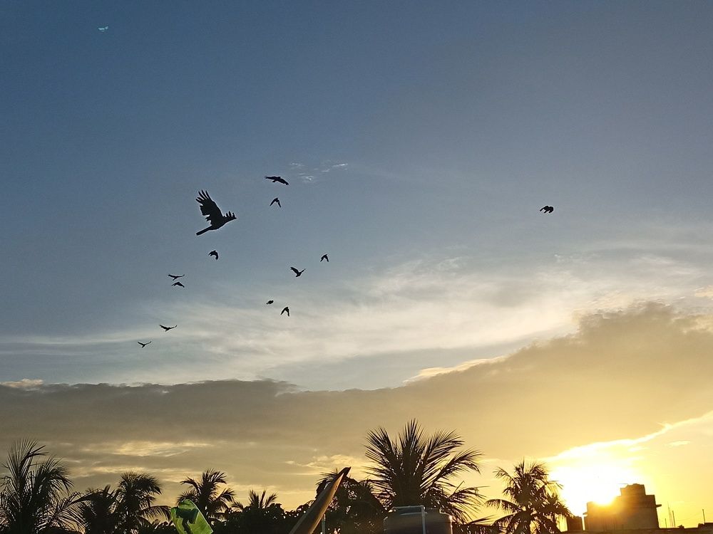 Photo #9633482