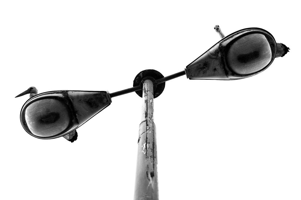 Photograph by Shamal Shakibayi