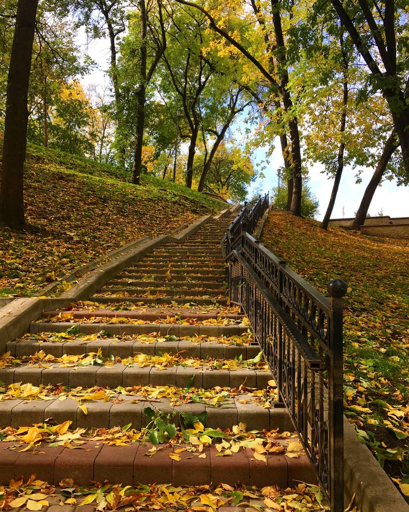 Фотография автора Александр Сипаров