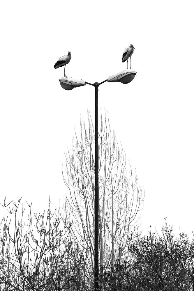 Photograph by Shamal Shakibayi