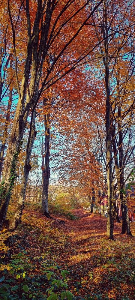 Photograph by Марина Жарикова