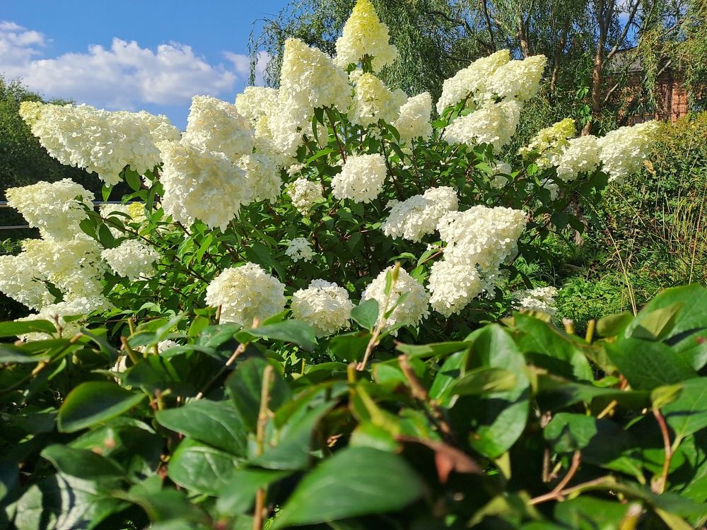 Photograph by Ирина Владимировна