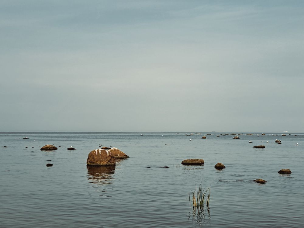 Финский залив