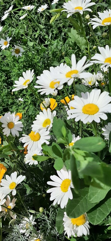 Photograph by Ирина Владимировна