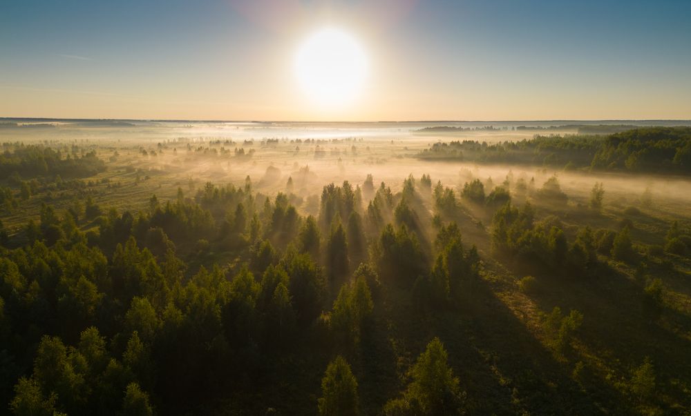 Photograph by Александр Чибиркин