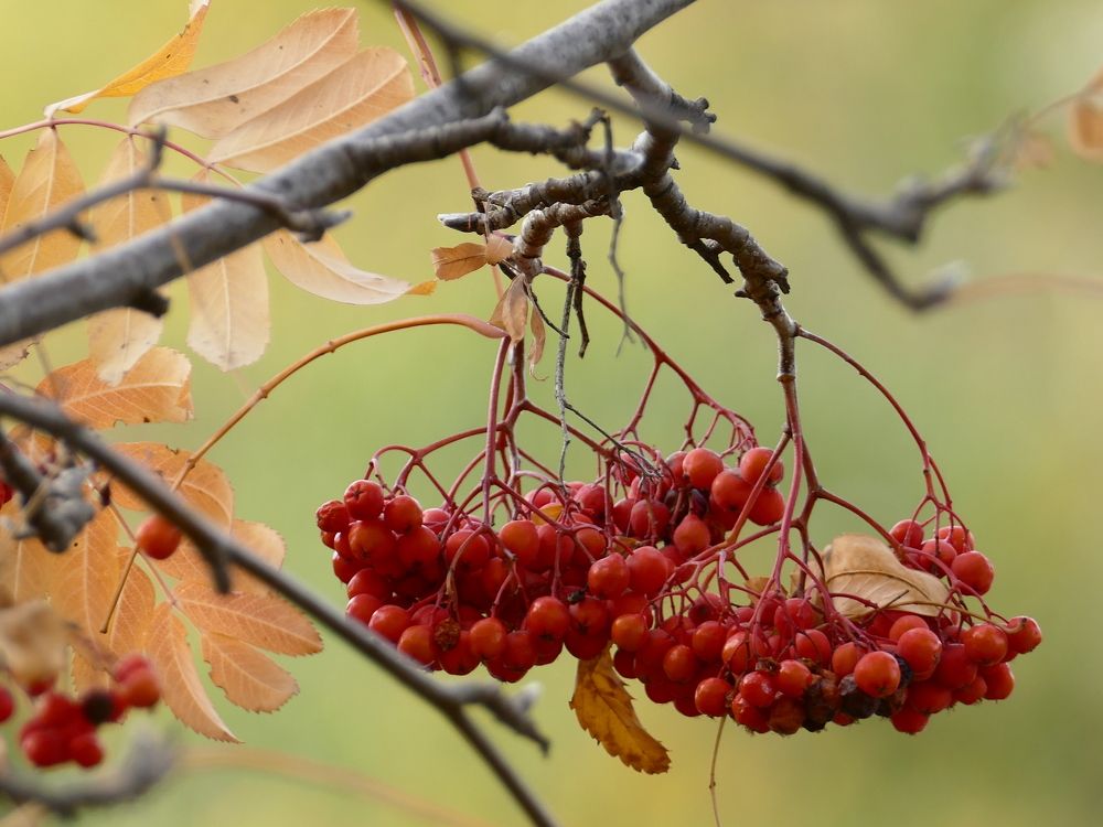 Photograph by Александр Кизим