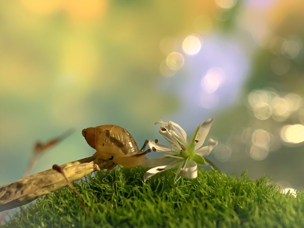 Photograph by Дмитрий Костяков