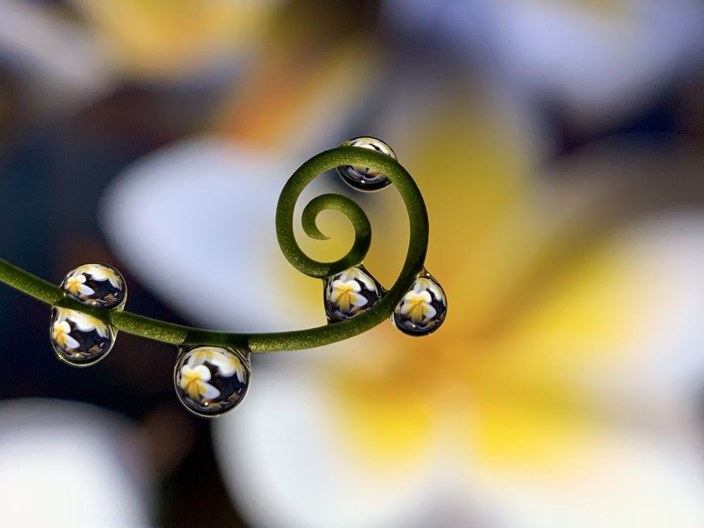 Photograph by Дмитрий Костяков