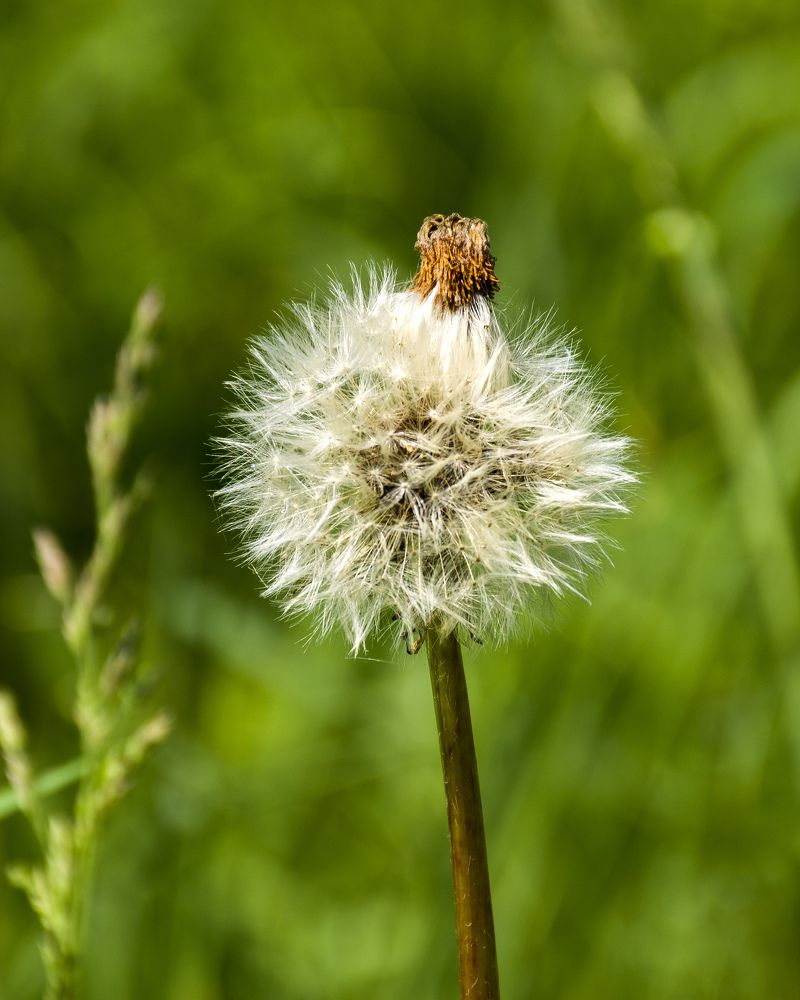 Photograph by Игорь Грашин