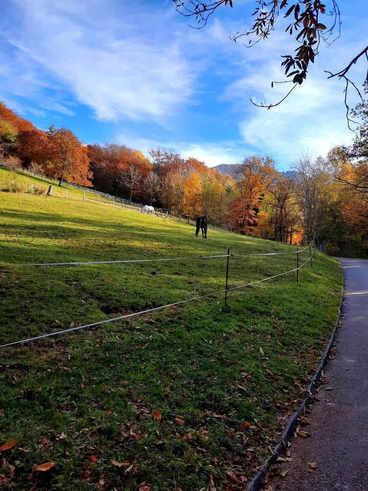 Photograph by Sonia Crotta