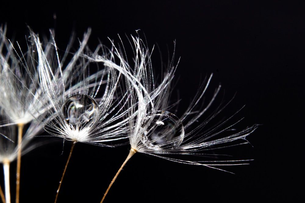 Photograph by Дмитрий Костяков