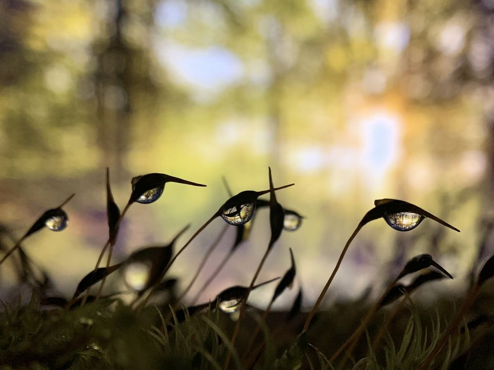 Photograph by Дмитрий Костяков