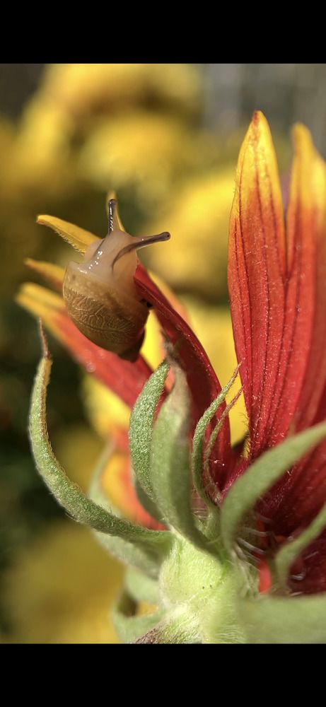 Photograph by Дмитрий Костяков