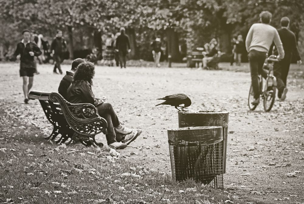 Фотография автора Елена Лаврова