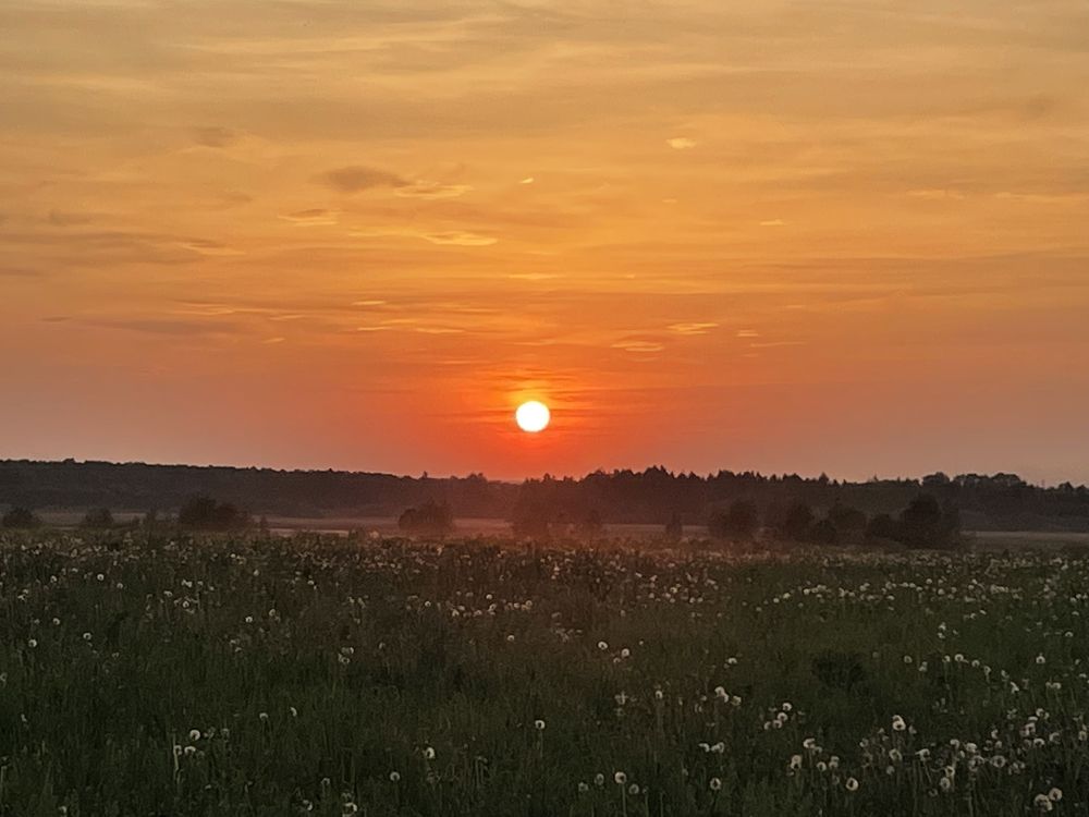 Photograph by Ирина Сбоева