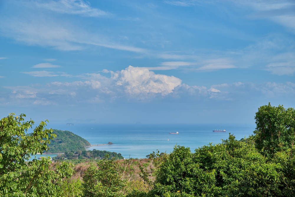 Photograph by Дмитрий Солодухин