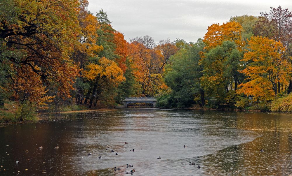 Photograph by Сергей Иванов