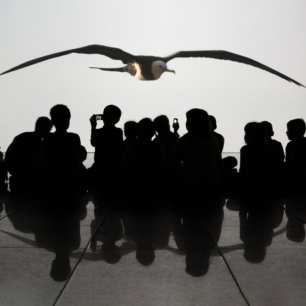 Photograph by Елена Барбарич