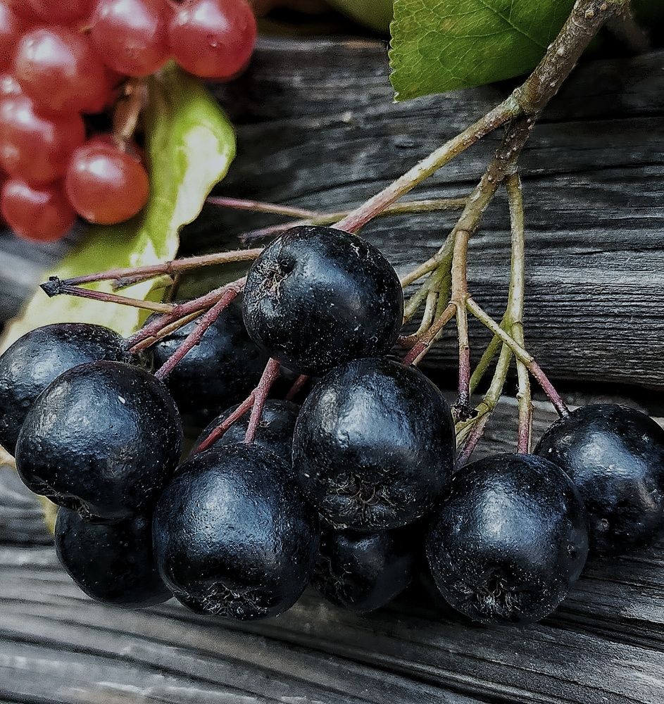 Photograph by Ольга Мартьянова