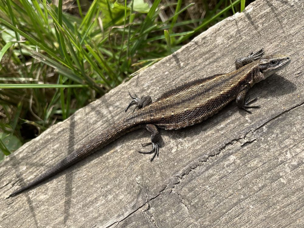 Photograph by Ирина Сбоева