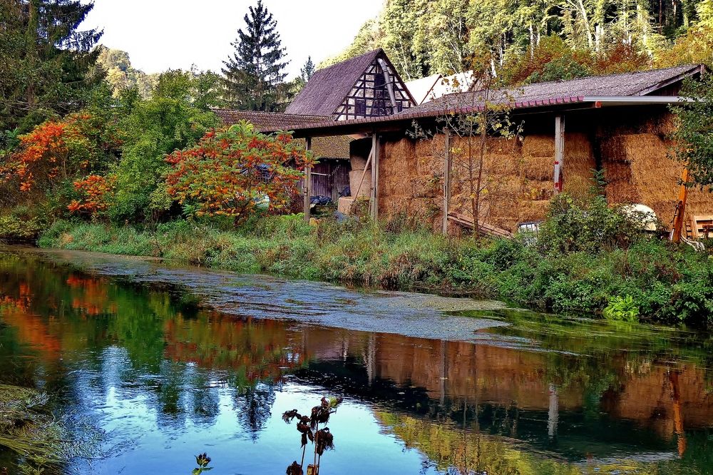 Photograph by backareva irina