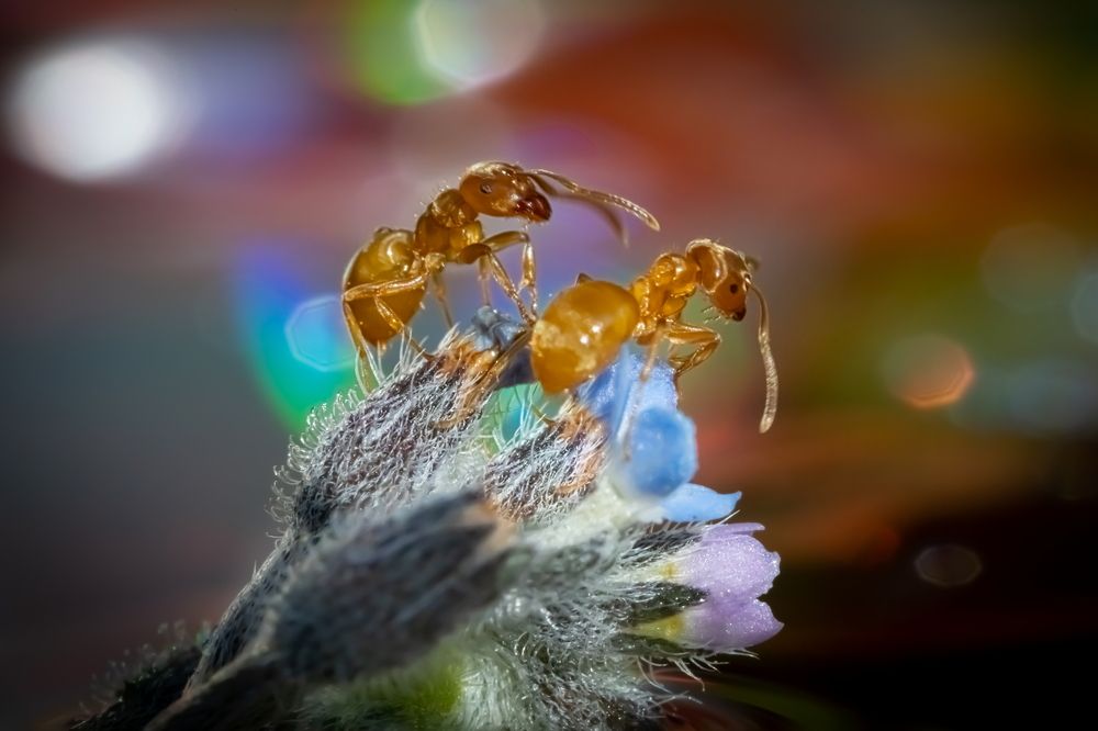 Photograph by Николай Фонарёв