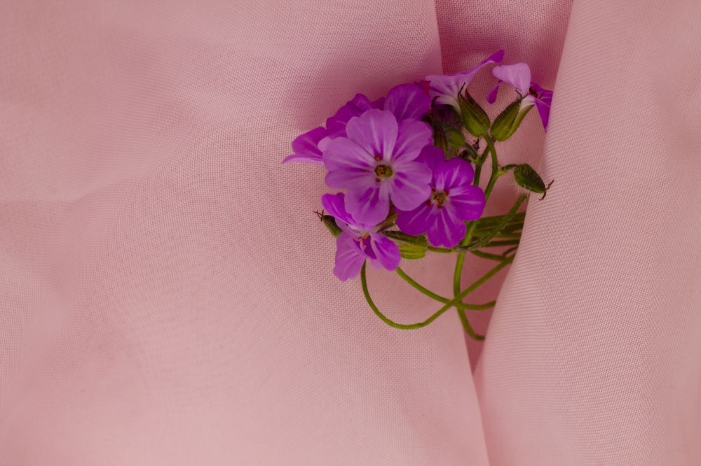 Photograph by Дарья Ващенко-Панкина