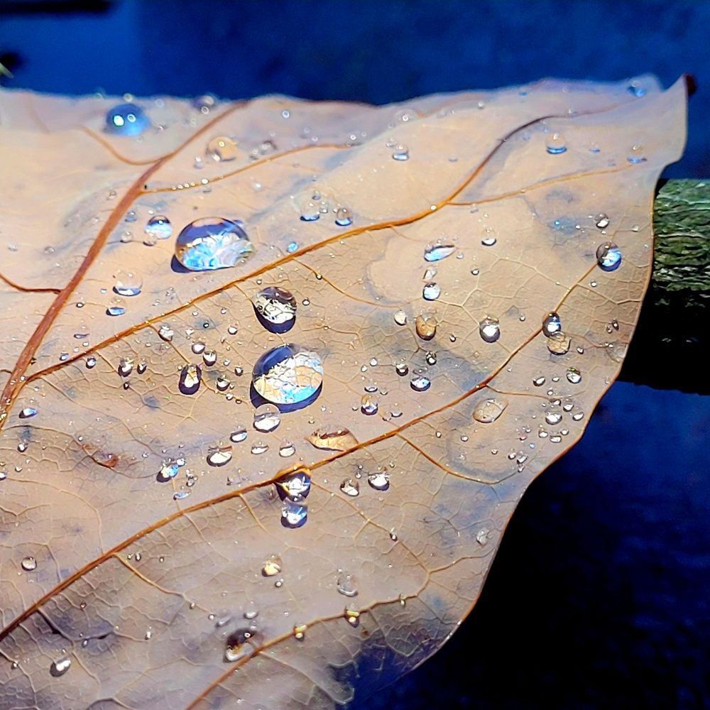 Photograph by Catherine