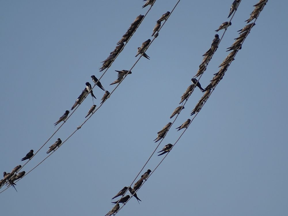 Photograph by Ирина Владимировна