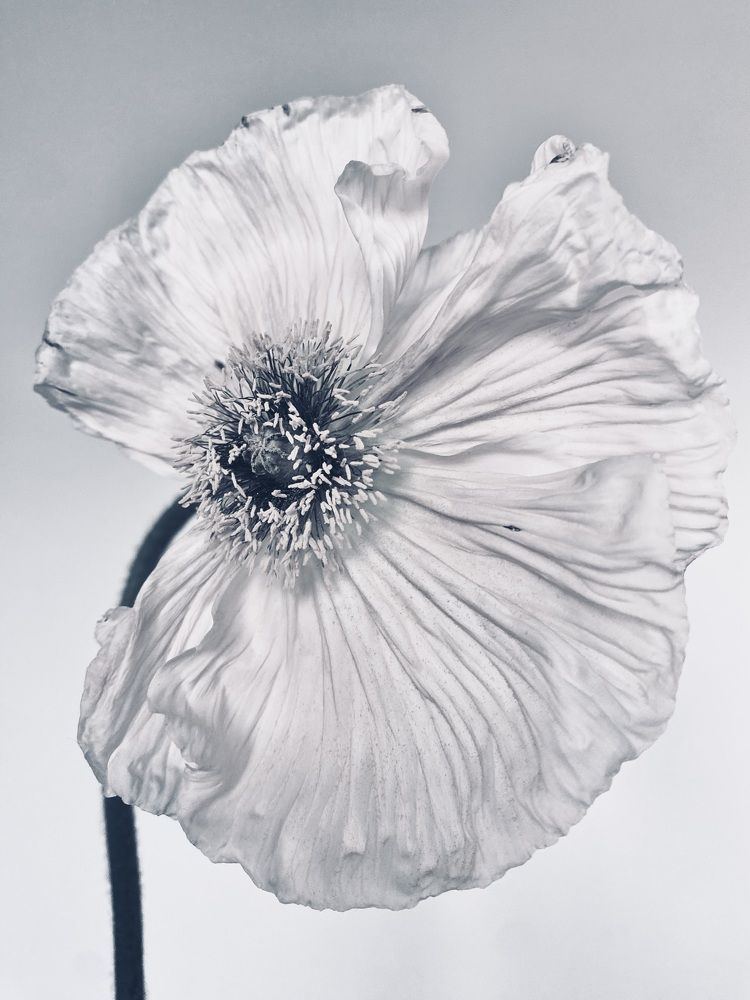 Photograph by Марина Танаева