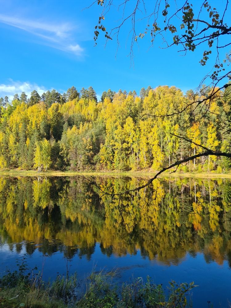 Photograph by Farah Ali