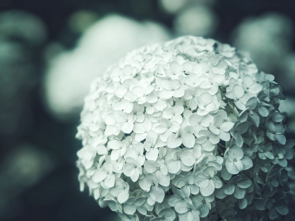 Photograph by Ekaterina Fadeeva