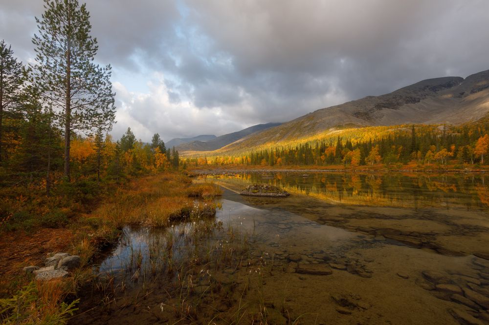 Photograph by Мария Казакова