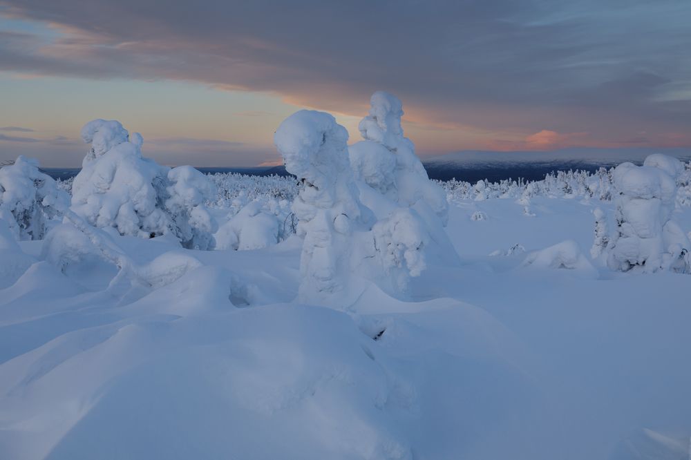 Photograph by Мария Казакова