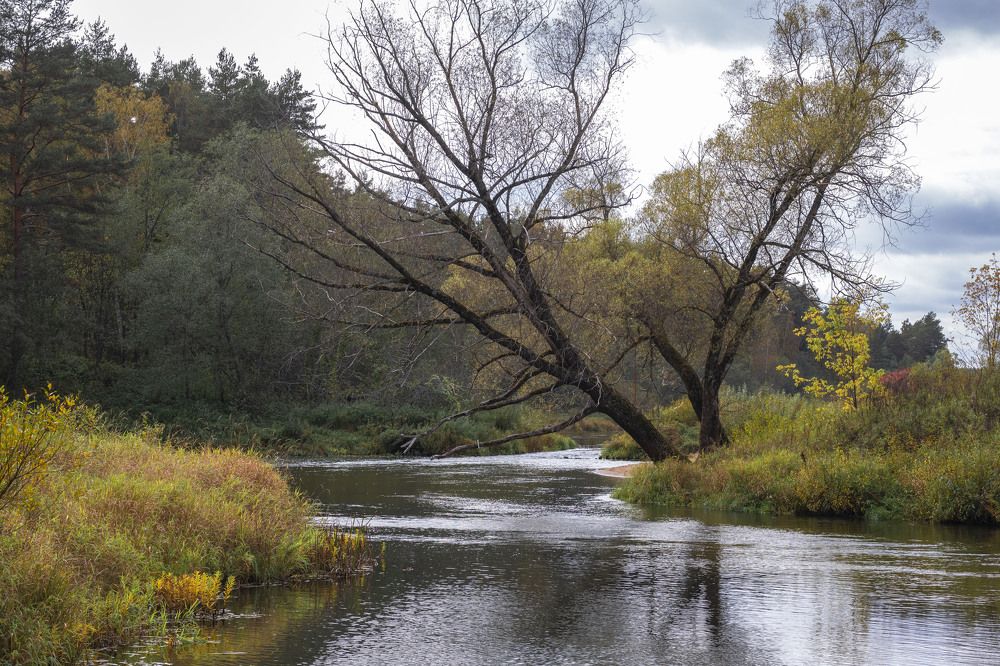 Photograph by Анна Панеева