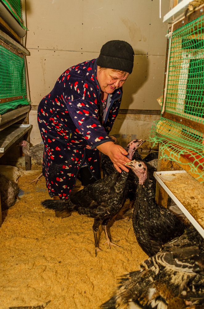 Photograph by Денис Кичев