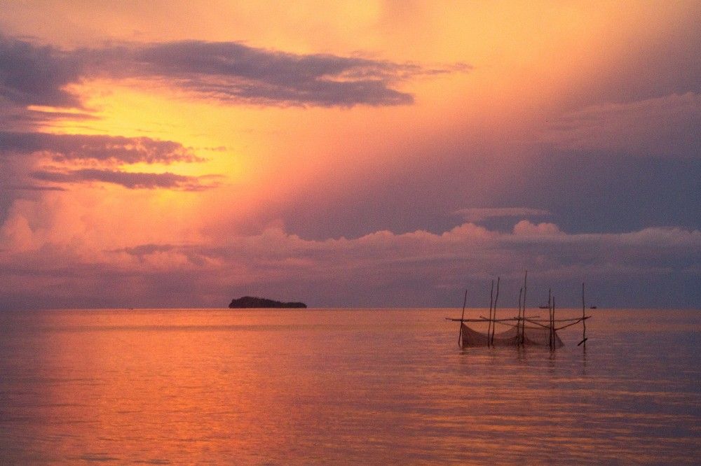 Фотография автора Mari Saxon