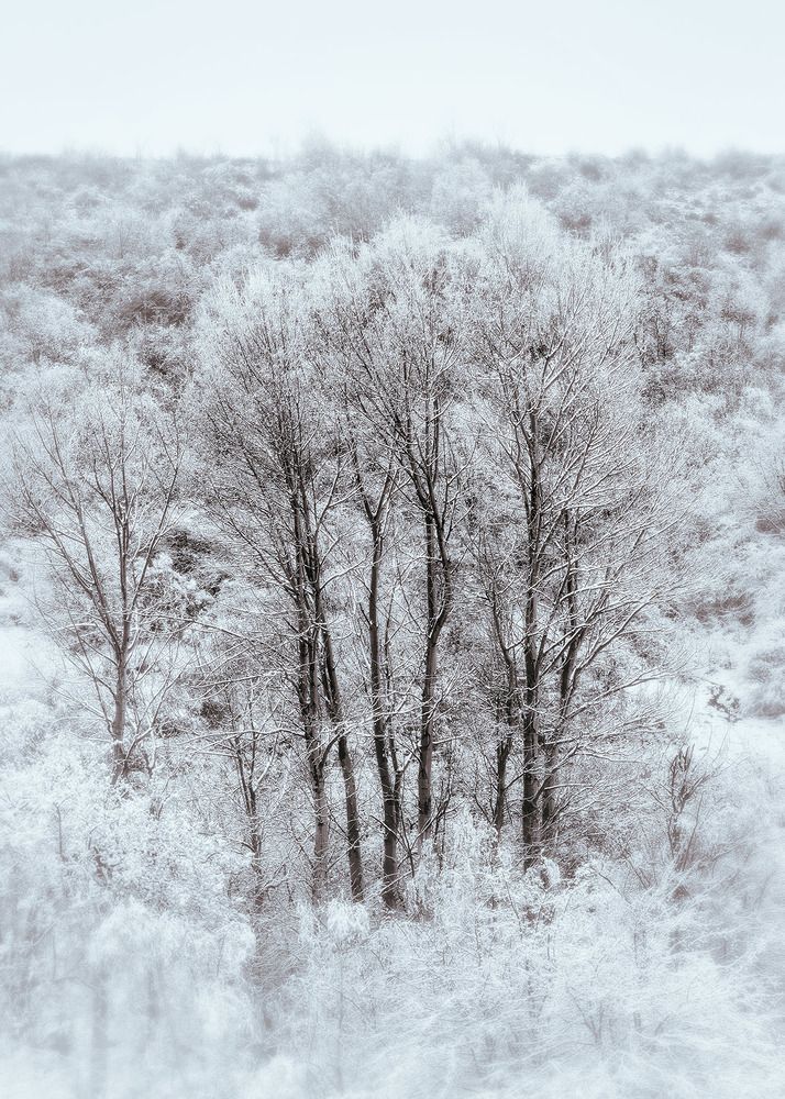 Photograph by Farzad Ajori