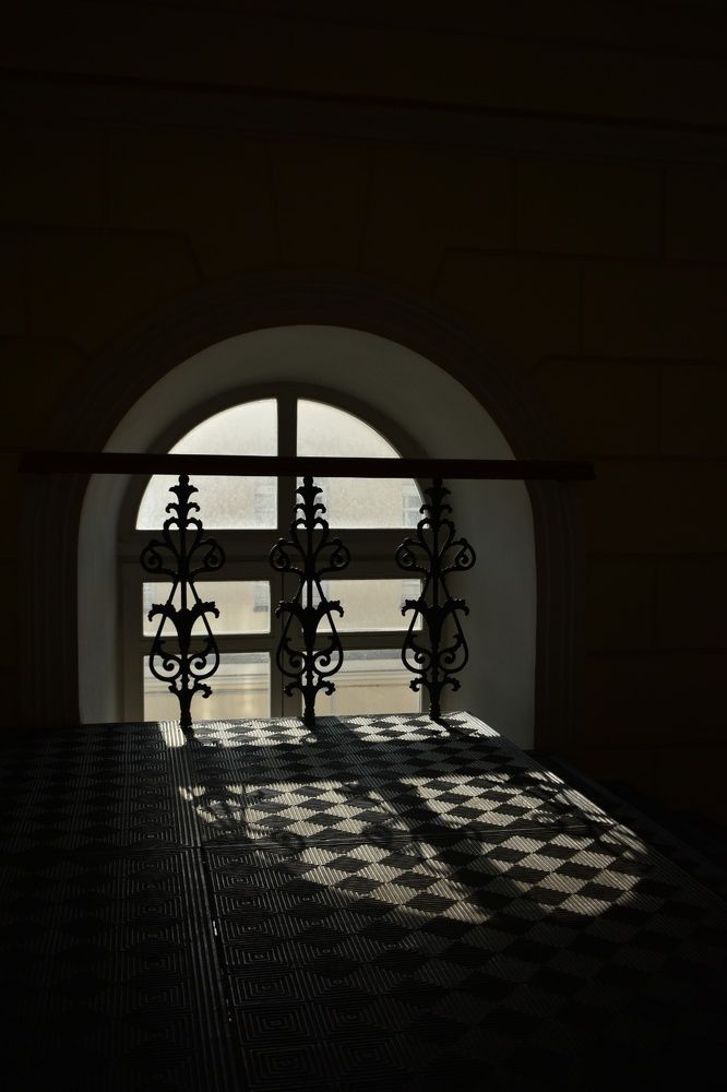 Фотография автора Catherine Shashkova