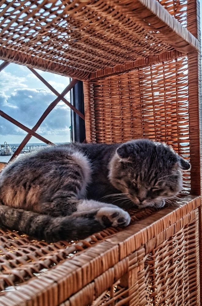 Photograph by Ксения