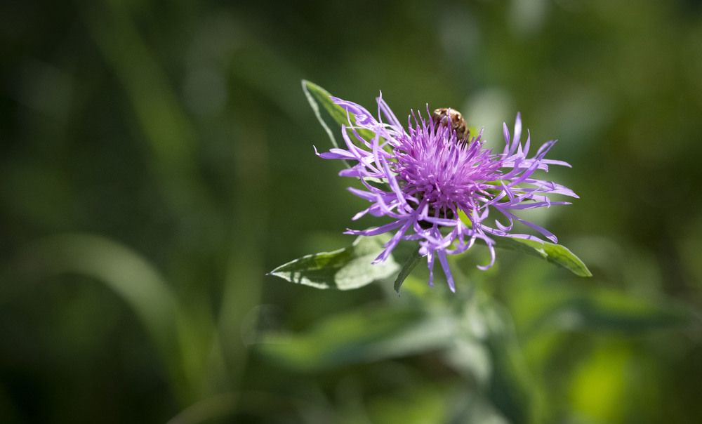 Photograph by Анна Панеева