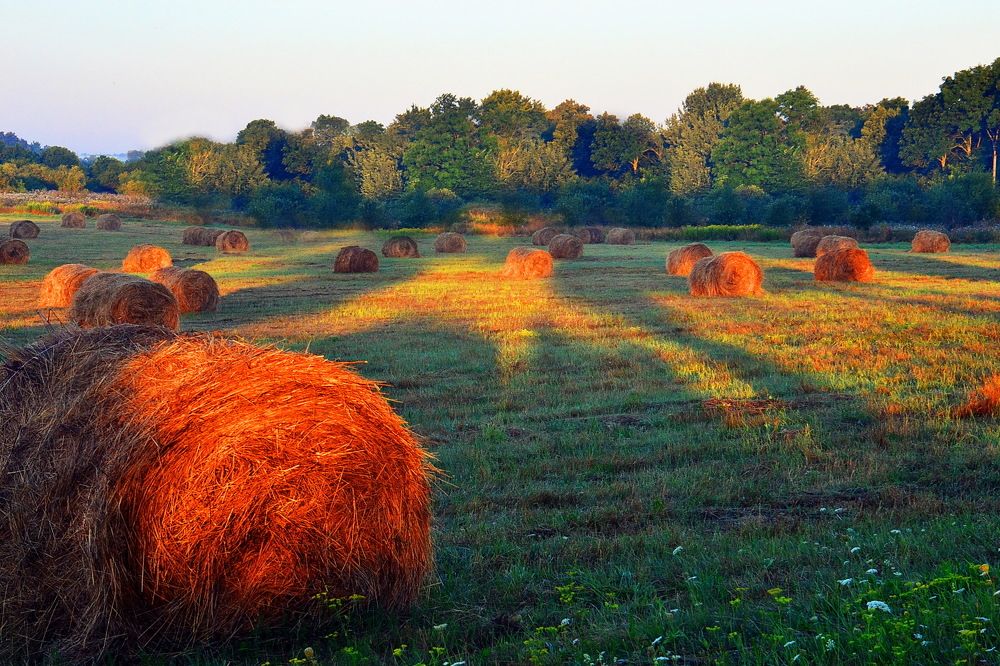 Photograph by Дмитрий Волков