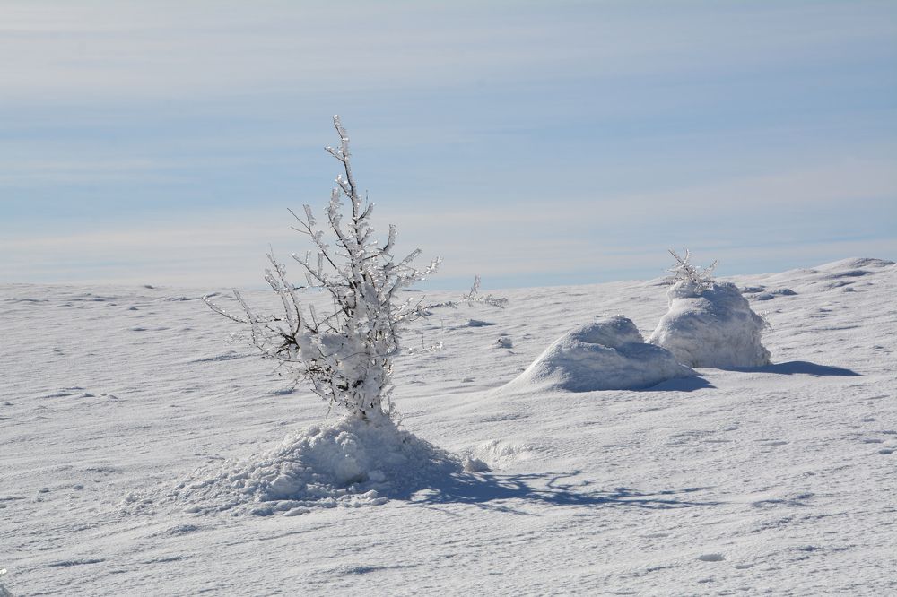Photograph by Екатерина Крючкова
