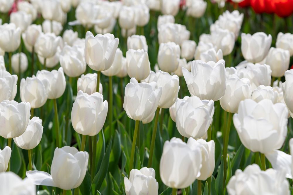 Photograph by Екатерина Крючкова