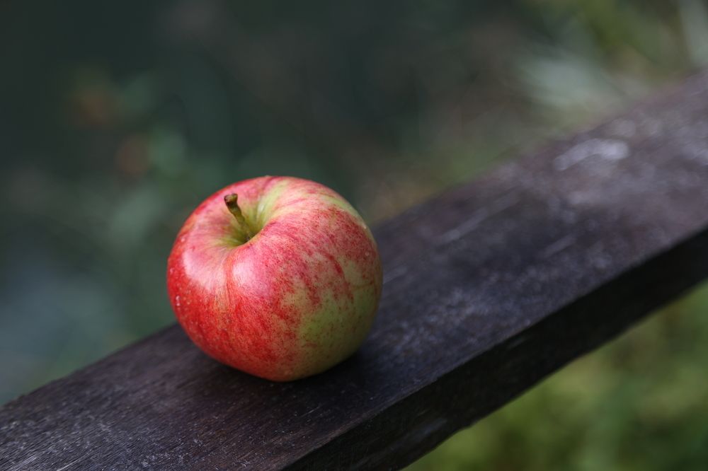 Фотография автора Алина Ефимова