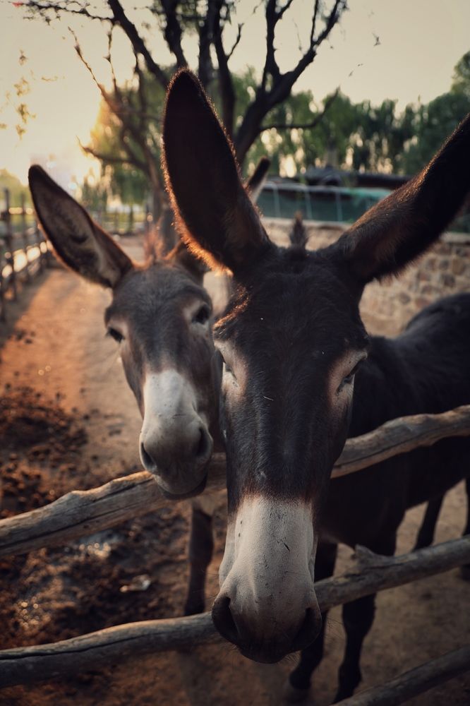 Фотография автора Алина Ефимова