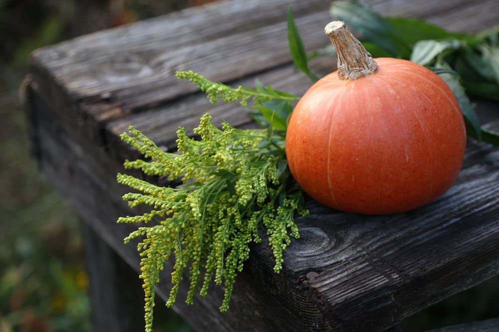 Фотография автора Алина Ефимова