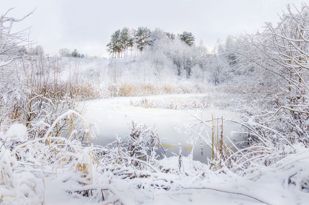 Photograph by ОЛЬГА КОВАЛЁВА