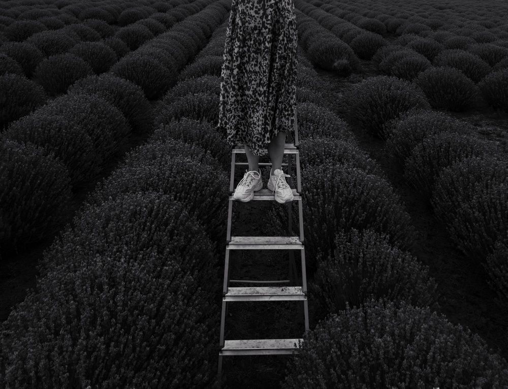 Photograph by Анна Будигай