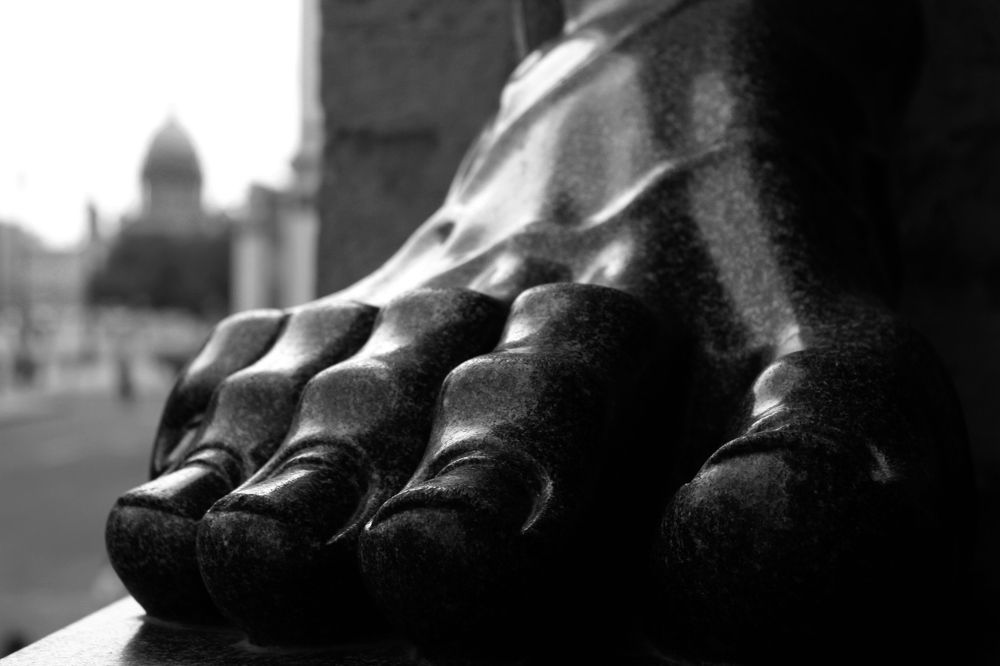 Photograph by Виталий